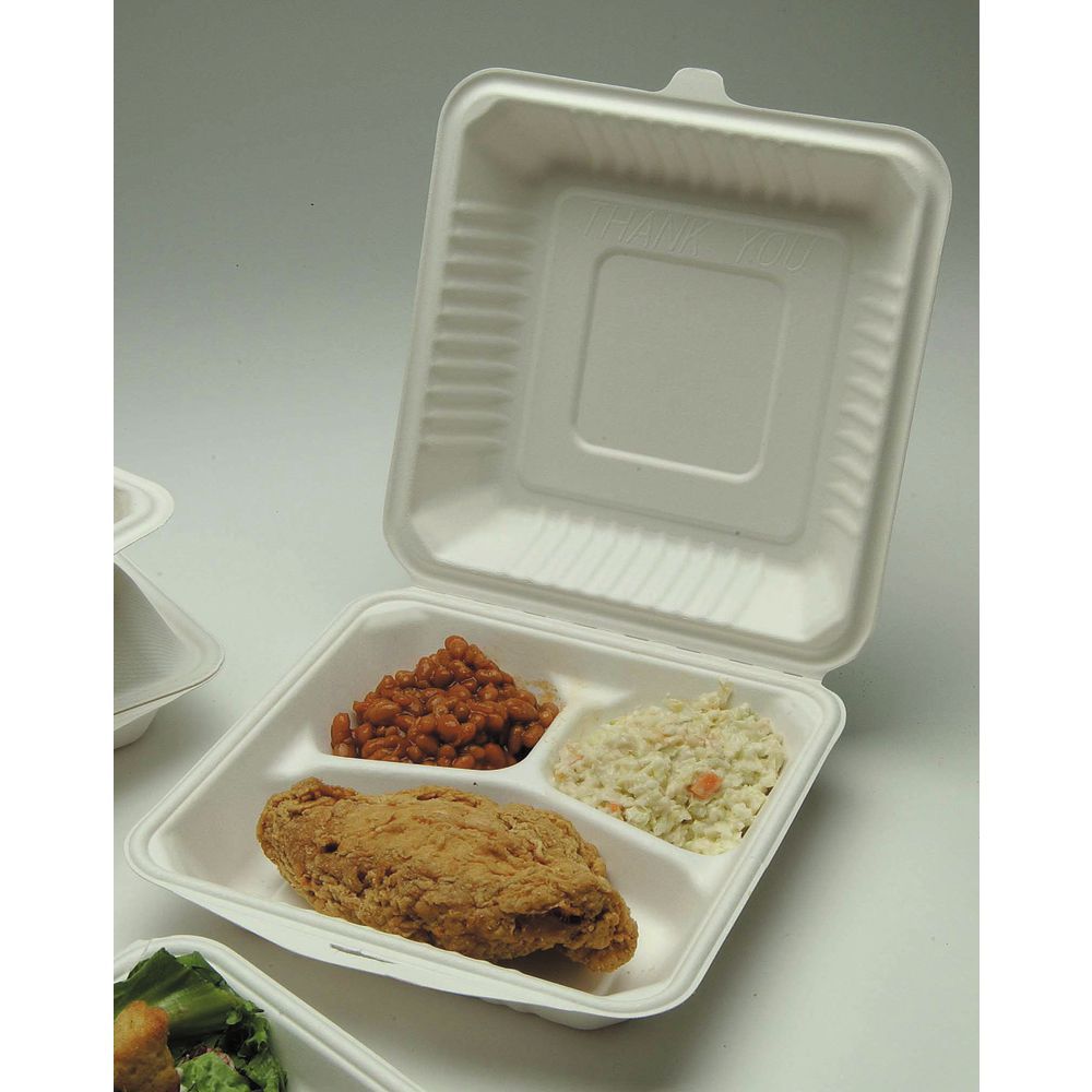 Biodegradable 9x9 hinged containers