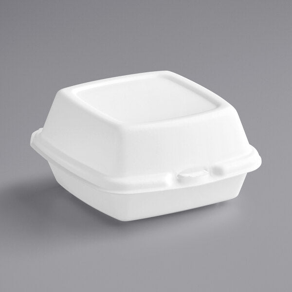 6 X 6 foam hinged container