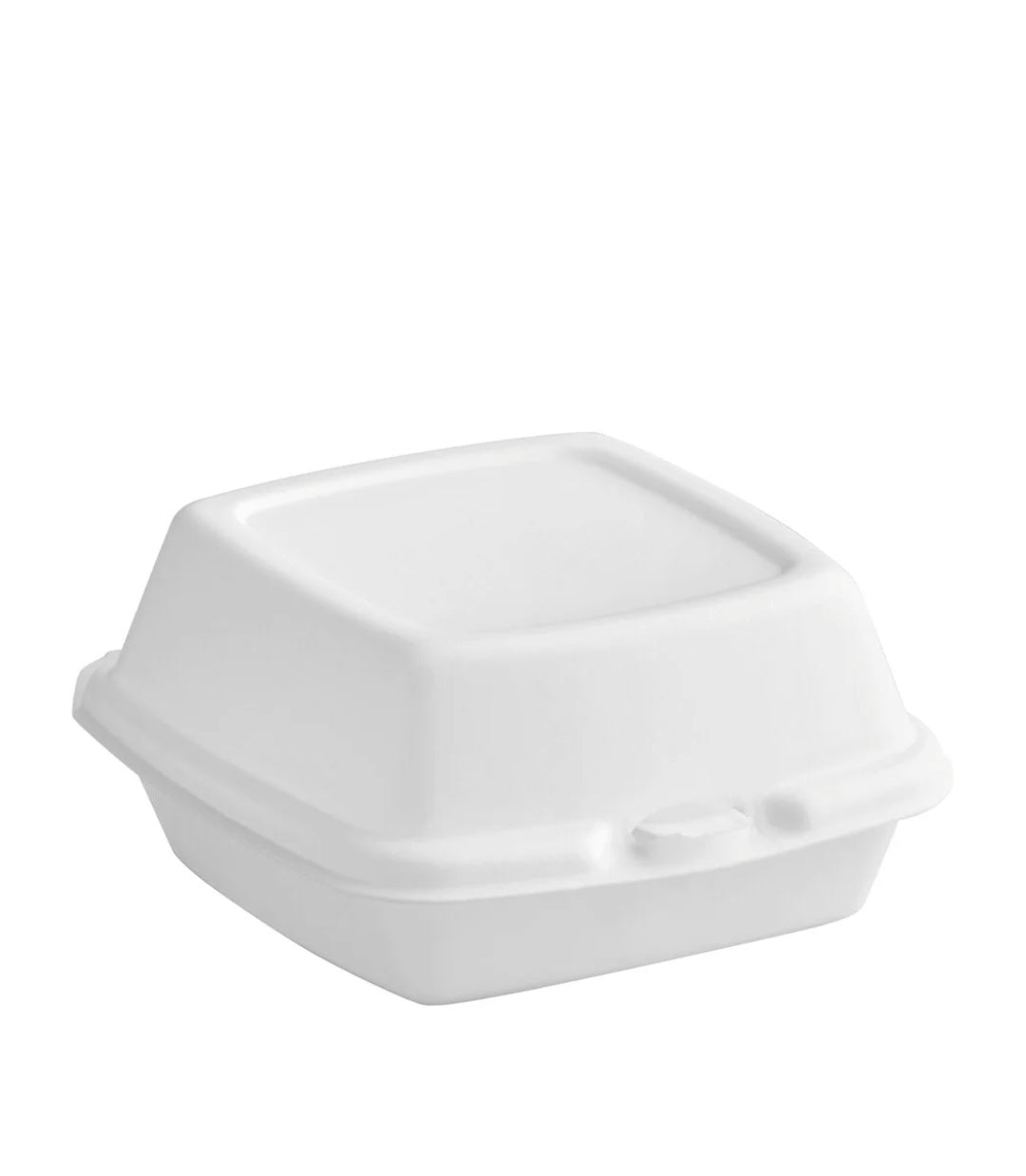 5x5- 6x6 Foam hinge containers